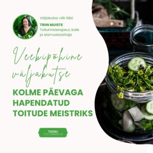 VEEBIPÕHINE VÄLJAKUTSE: Kolme päevaga hapendatud toitude meistriks