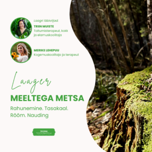 Laager Meeltega metsa