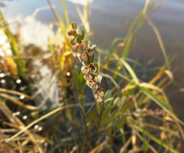 536486c4-06ea-4525-8154-b71ed0bfc0de