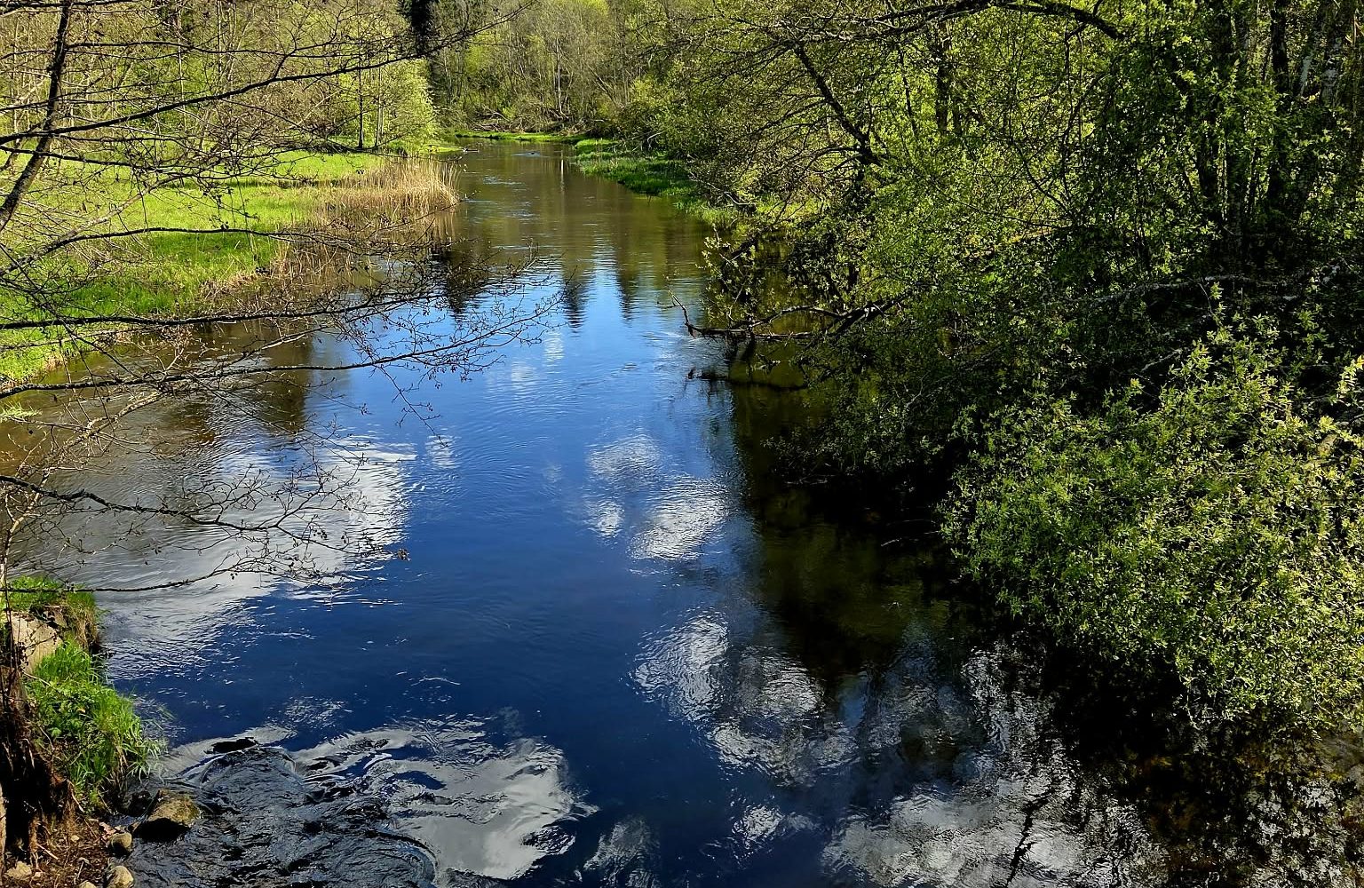 a7a71468-3231-48fc-aa3f-2cbd4ce82e89